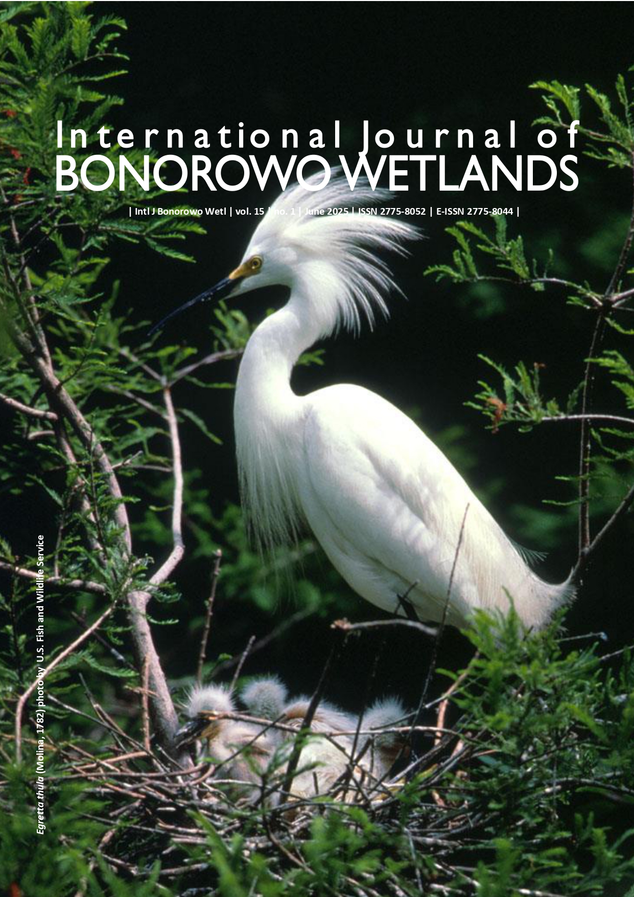 International Journal of Bonorowo Wetlands